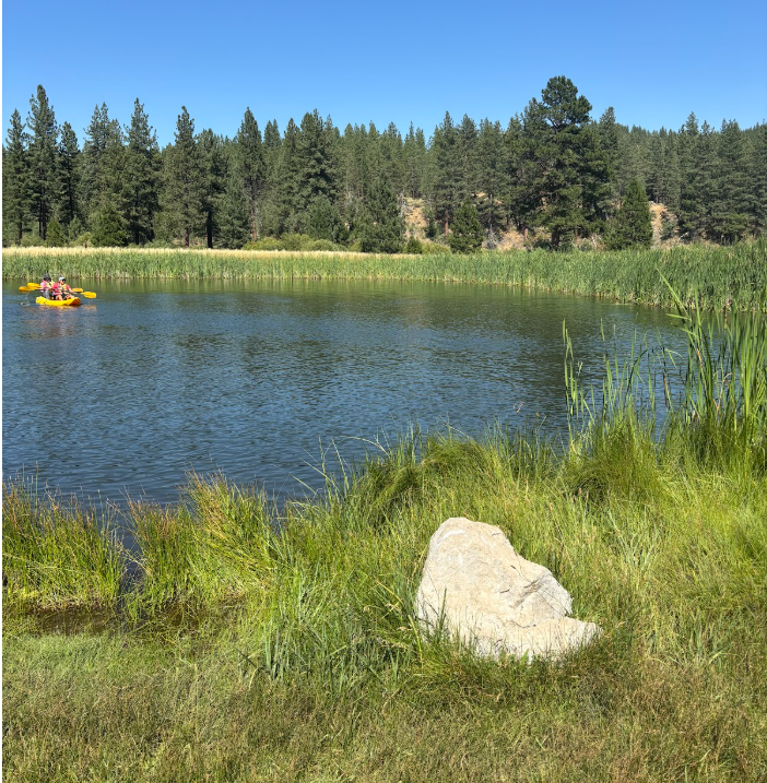 Pond Pond
