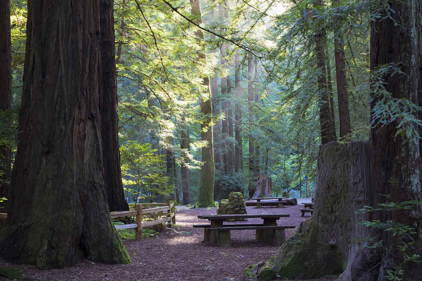 Santa Cruz Boardwalk